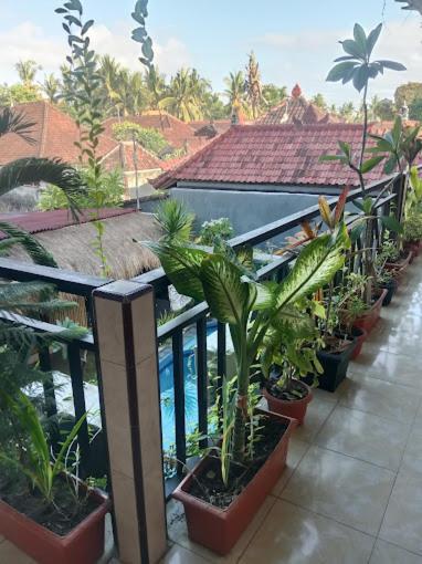Grace Paradise Guest House Nusa Lembongan  Luaran gambar