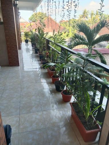 Grace Paradise Guest House Nusa Lembongan  Luaran gambar